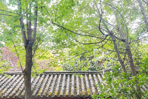 丽江康年丽水阳光酒店(束河古镇店)