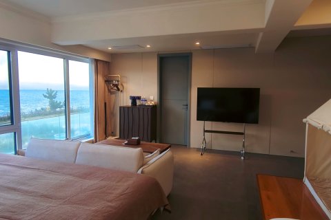 金石湾逅海艺墅