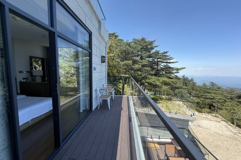 黄山白鹅山庄