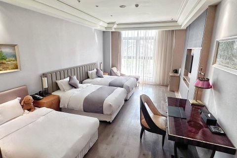 万达瑞景汉拿山温泉酒店