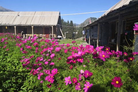 喀纳斯湖滨山庄(老村店)
