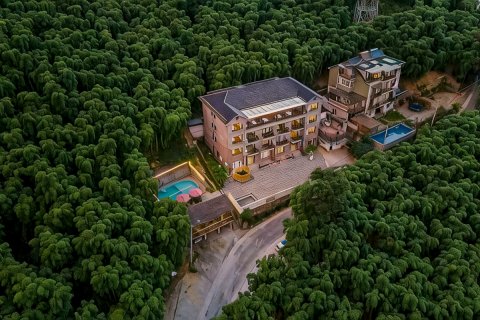 莫干山闲步庭下·半山腰度假民宿