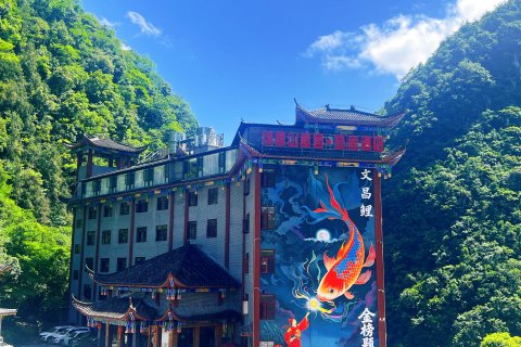 锦鲤山崖舍·悬崖民宿