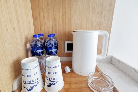 大柴旦雪山温泉度假酒店