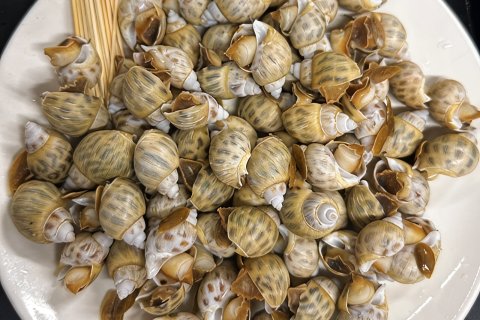 万宁港北丽湾龙之舟海洋民宿