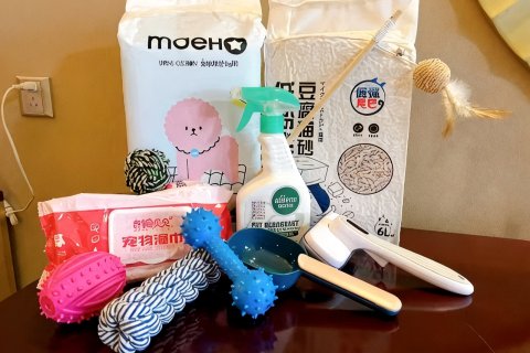 池州碧桂园凤悦凤凰酒店(九华山)