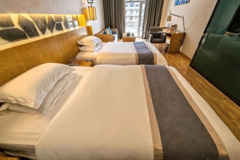 泸定皇桥宾馆(泸定桥店)