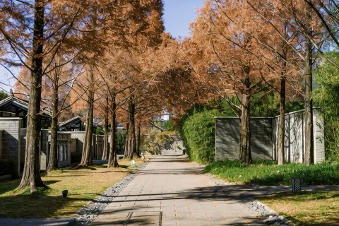 丽江悦榕庄