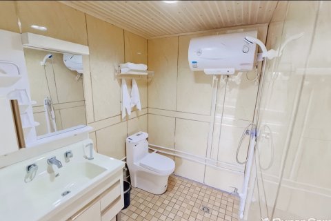吐鲁番西域葡萄庄园民宿
