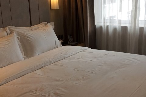 集安雅致宾馆