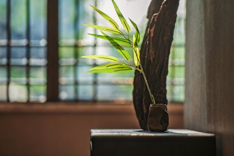 乐山金叶·禅驿度假酒店(乐山大佛店)