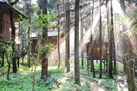 咸丰坪坝营森林酒店