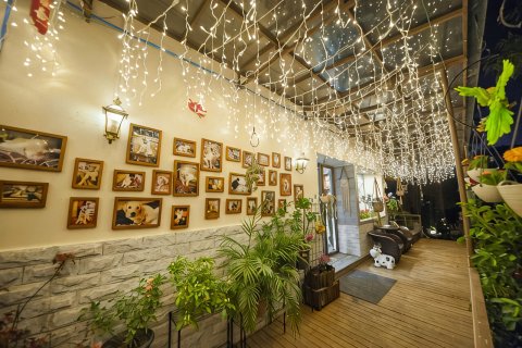 蔓时光后海听禅客栈(桂林两江四湖店)