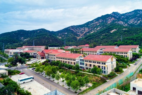招远招金舜和国际饭店