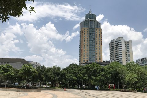 柳州华天世纪酒店(五星商业步行街店)
