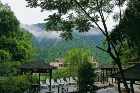莽山森林温泉酒店