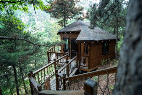 云峰山童话树屋