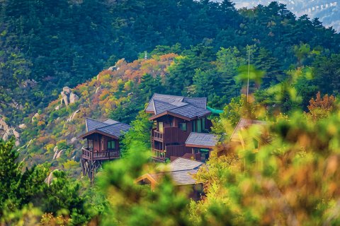 云峰山童话树屋