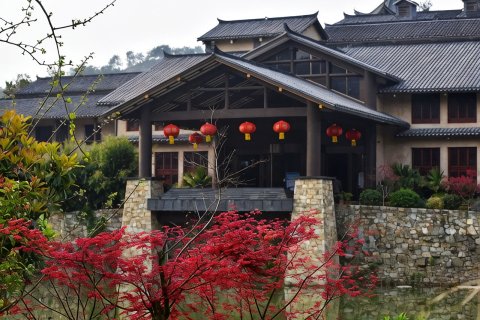 武汉野村谷银杏山庄度假酒店