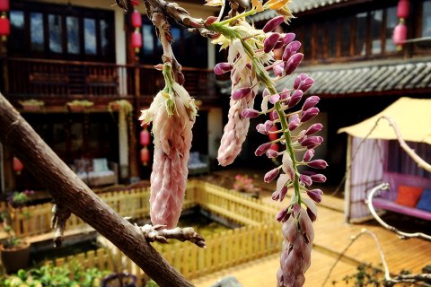 花筑·阳光三地丨Cloud天空之境·落日晚霞观景美宿(束河古镇店)