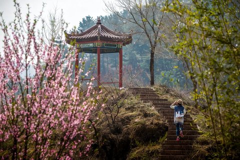隐居乡里·山楂小院民宿(北京虎叫店)