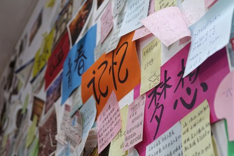 热呆鱼国际青年旅社