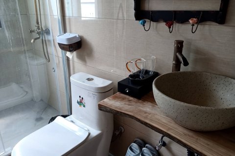 龙南十里画廊客栈