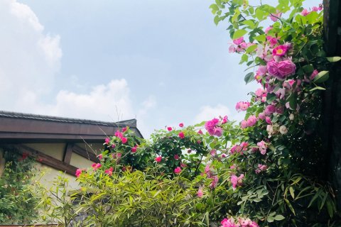 峨眉山大酒店(峨眉山景区报国寺店)