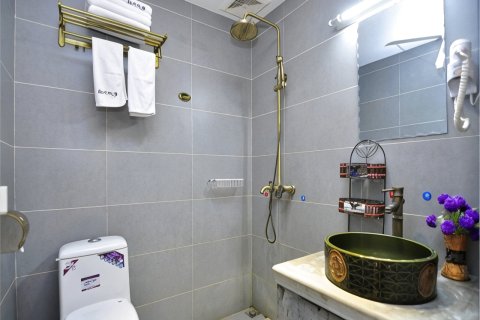 临安故事客栈(建水古城朱家花园店)