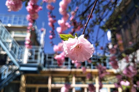 拉萨藏陶坊客栈(大昭寺八廓街店)