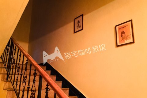 北戴河猫宅咖啡民宿
