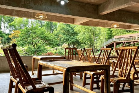 兴安依山伴水大酒店