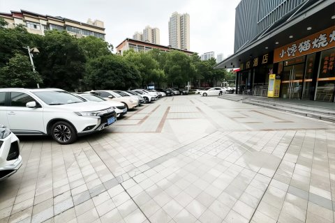 锦悦汤池酒店(武汉动物园国博中心店)