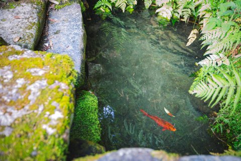 松阳鸣珂里文化民宿(契约博物馆店)