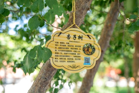 敦煌新泰·大酒店