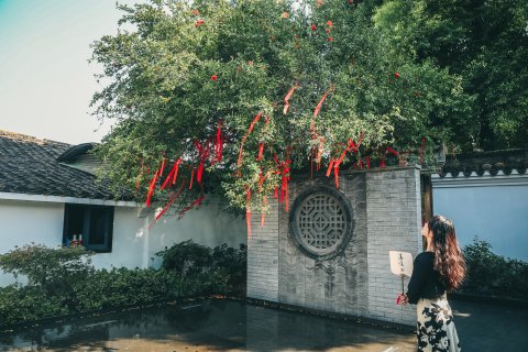 绍兴君隐书圣故里酒店(鲁迅故里店)
