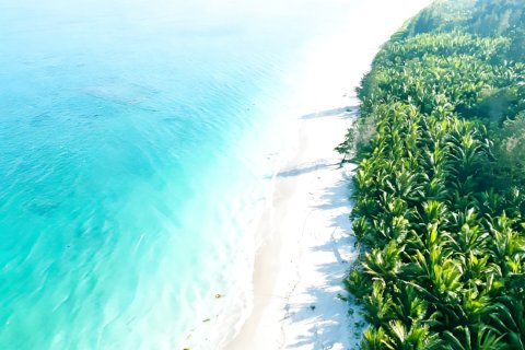 琼海博鳌和悦海景酒店