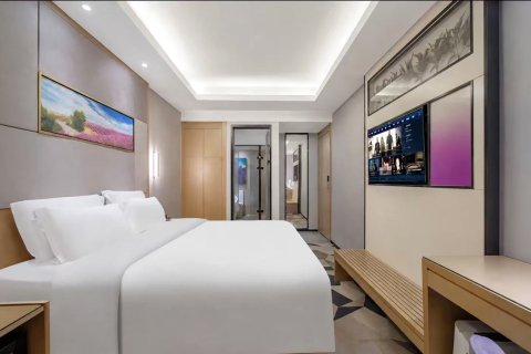 麗枫酒店(深圳宝安海雅缤纷城新安公园地铁站店)