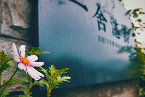 杭州一舍湛然民宿(西湖灵隐寺店)
