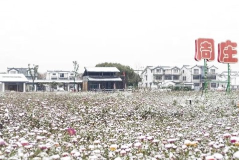 周庄香村·祁庄