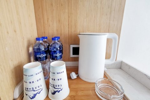 大柴旦雪山温泉度假酒店
