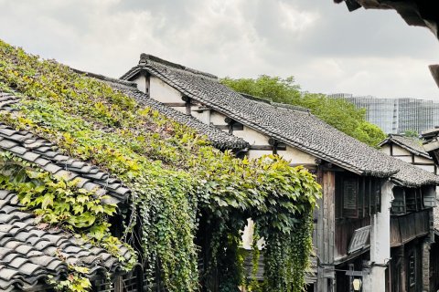 乌镇民宿