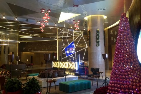 南京禄口机场雅高铂尔曼大酒店