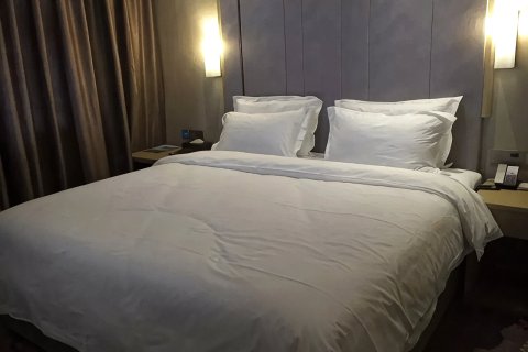 集安雅致宾馆