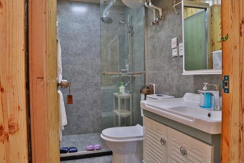 溪上山居客栈(平王线分店)