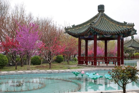 正定国家乒乓球训练基地